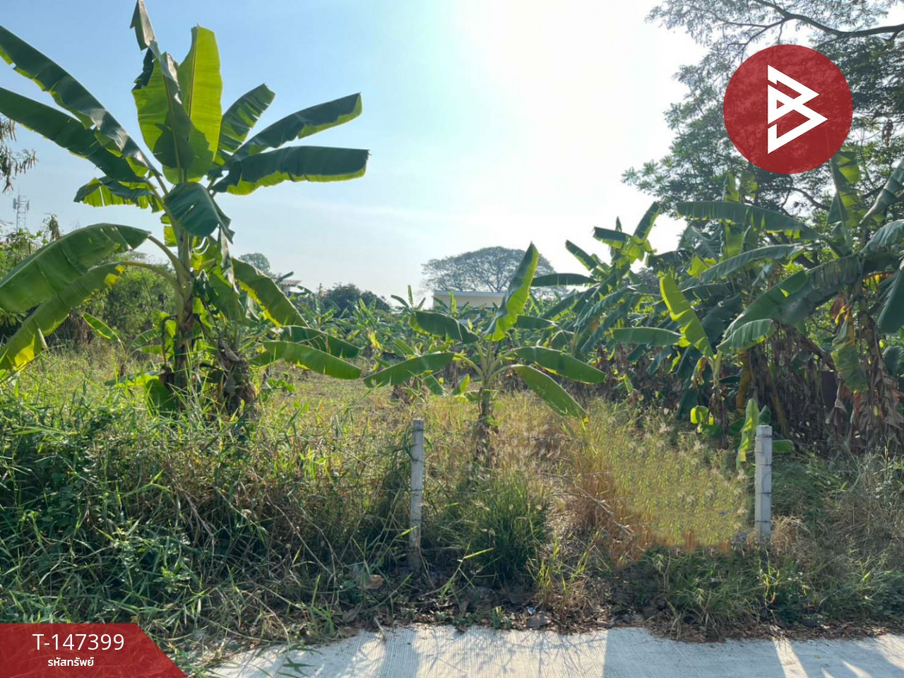 ขายที่ดิน เนื้อที่ 1 งาน 81 ตร.วา เพชรเกษม 77 หนองแขม กรุงเทพมหานคร ทำเลดี