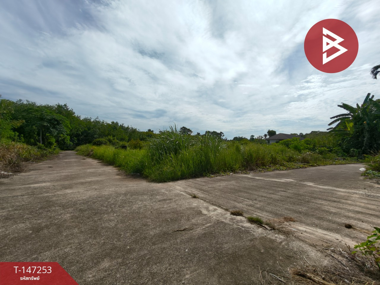 ขายที่ดิน เนื้อที่ 45.3 ตร.วา โพธิ์เสด็จ นครศรีธรรมราช