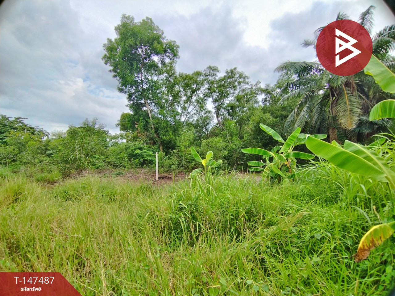 ขายที่ดิน เนื้อที่ 62.5 ตร.วา หนองเสือ ปทุมธานี