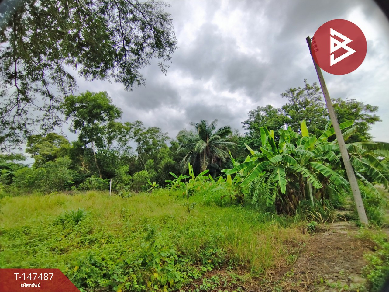ขายที่ดิน เนื้อที่ 62.5 ตร.วา หนองเสือ ปทุมธานี