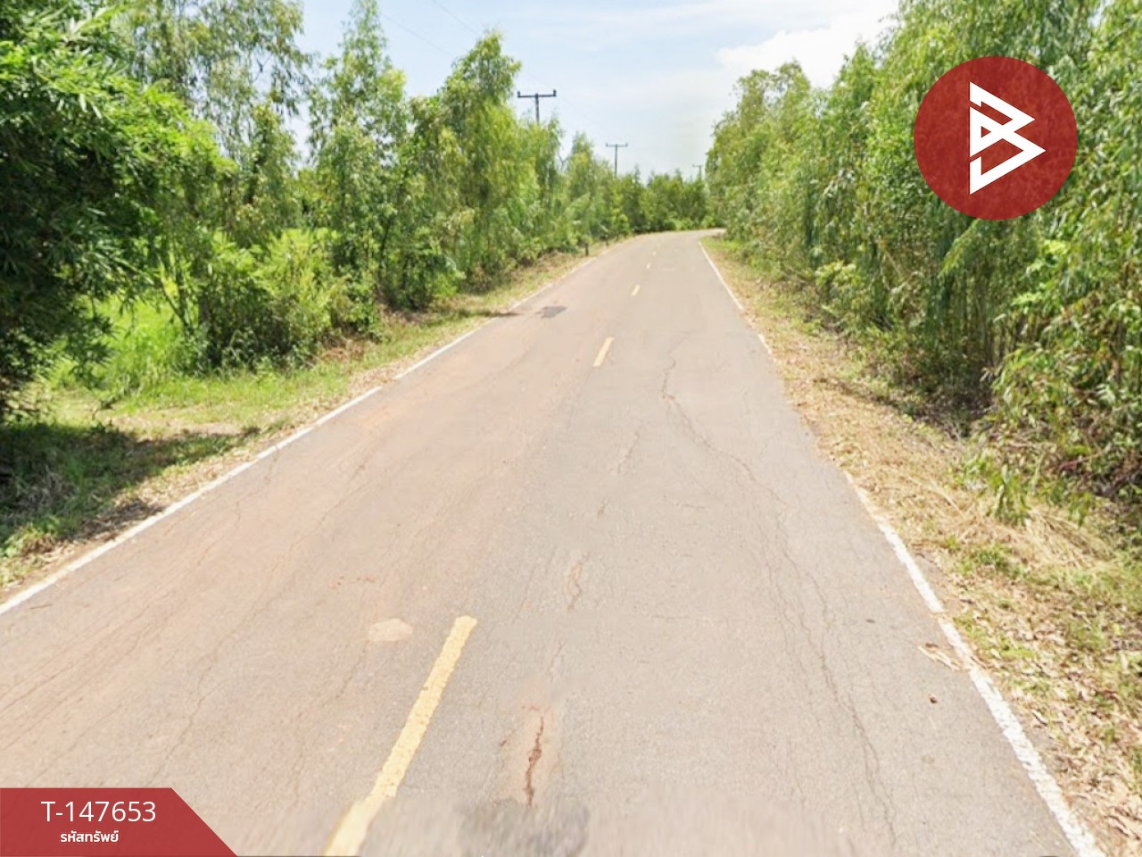 ขายที่ดิน เนื้อที่ 13 ไร่ 20 ตร.วา เพ็ญ อุดรธานี