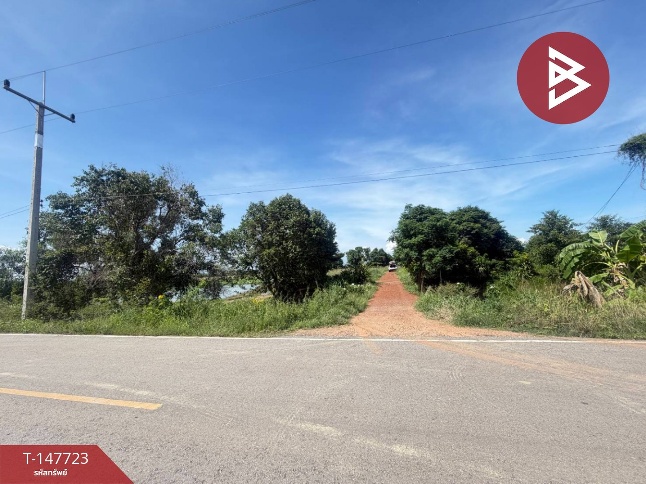ขายที่ดิน เนื้อที่ 20 ไร่ ราชสาส์น ฉะเชิงเทรา