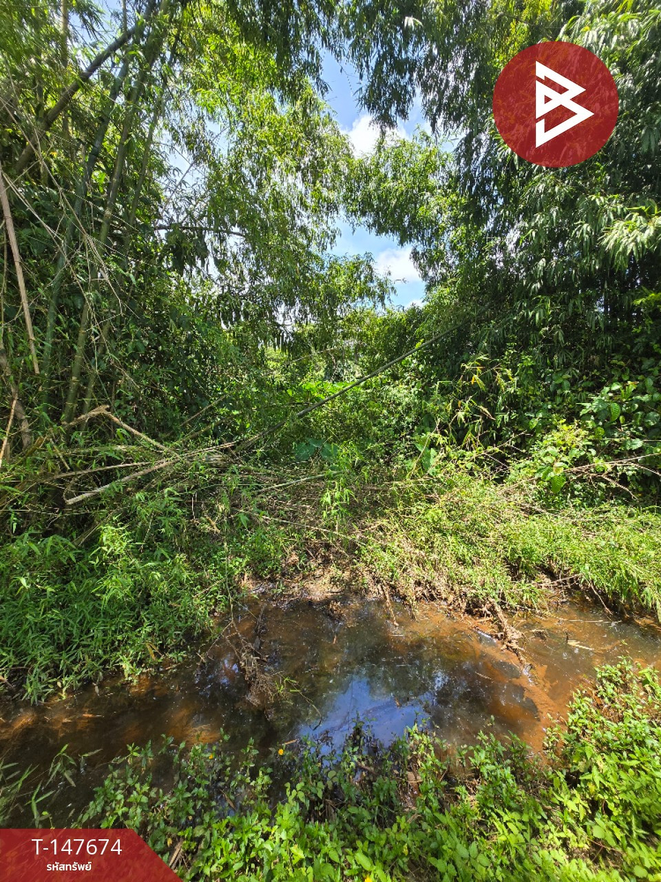 ขายที่ดิน เนื้อที่ 1 ไร่ ท่าช้าง จันทบุรี