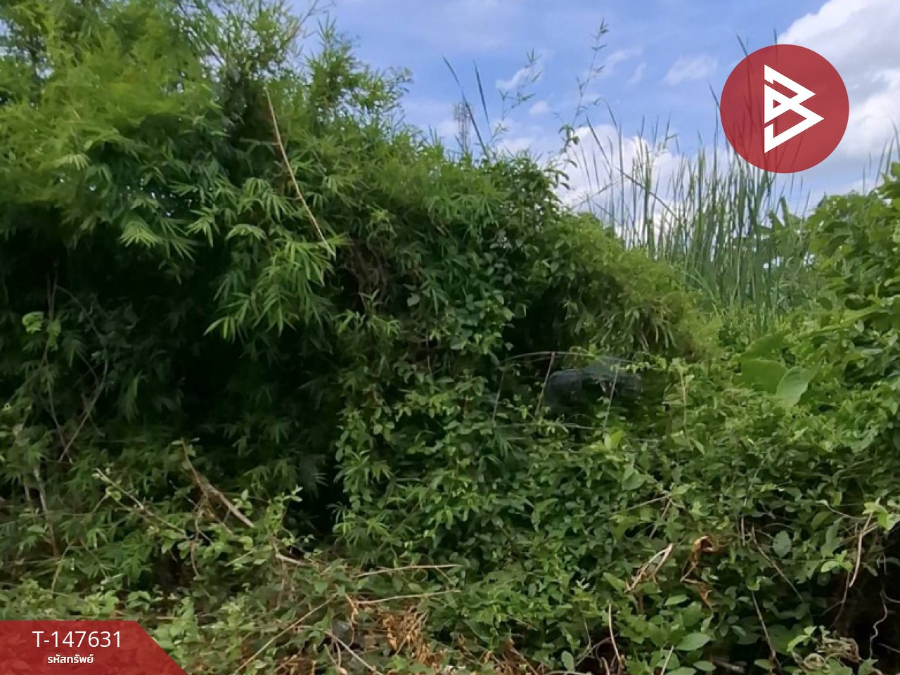 ขายที่ดิน เนื้อที่ 43 ตร.วา มีนบุรี กรุงเทพมหานคร