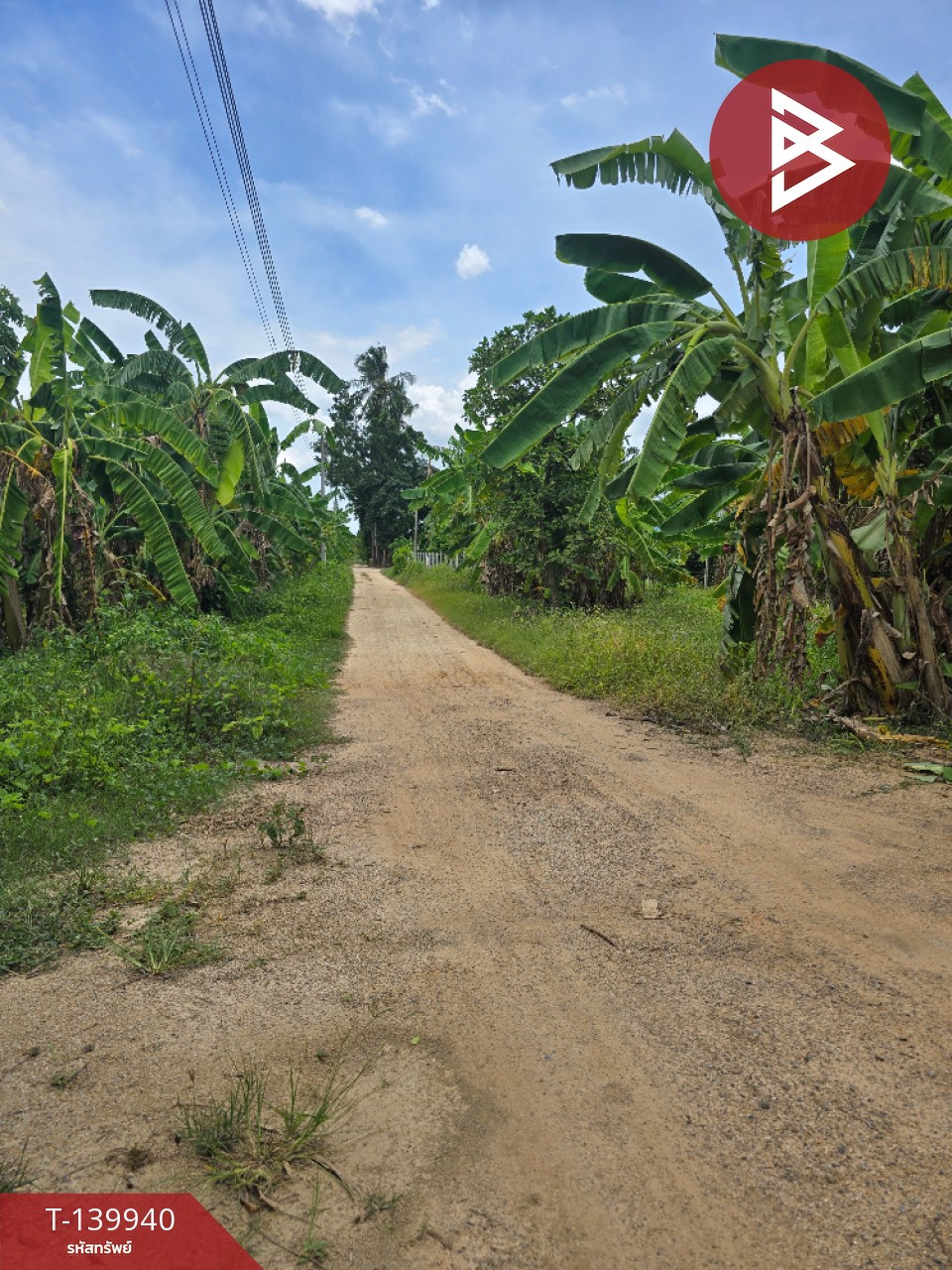 ขายที่ดิน เนื้อที่ 12 ไร่ 20 ตร.วา ท่ายาง เพชรบุรี
