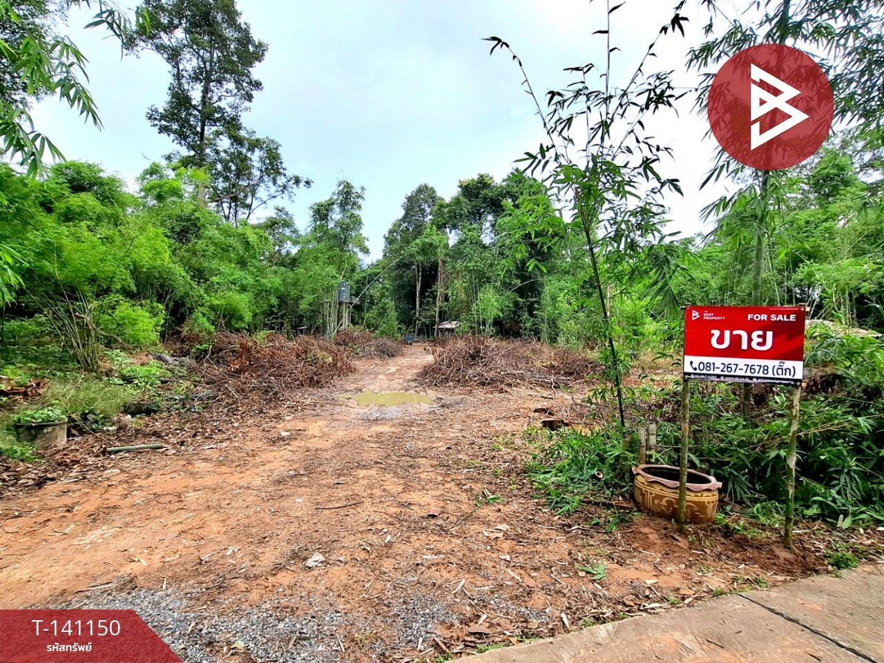 ขายที่ดินพร้อมสิ่งปลูกสร้าง เนื้อที่ 9 ไร่ 10 ตร.วา ต.หมูม้น เชียงขวัญ ร้อยเอ็ด