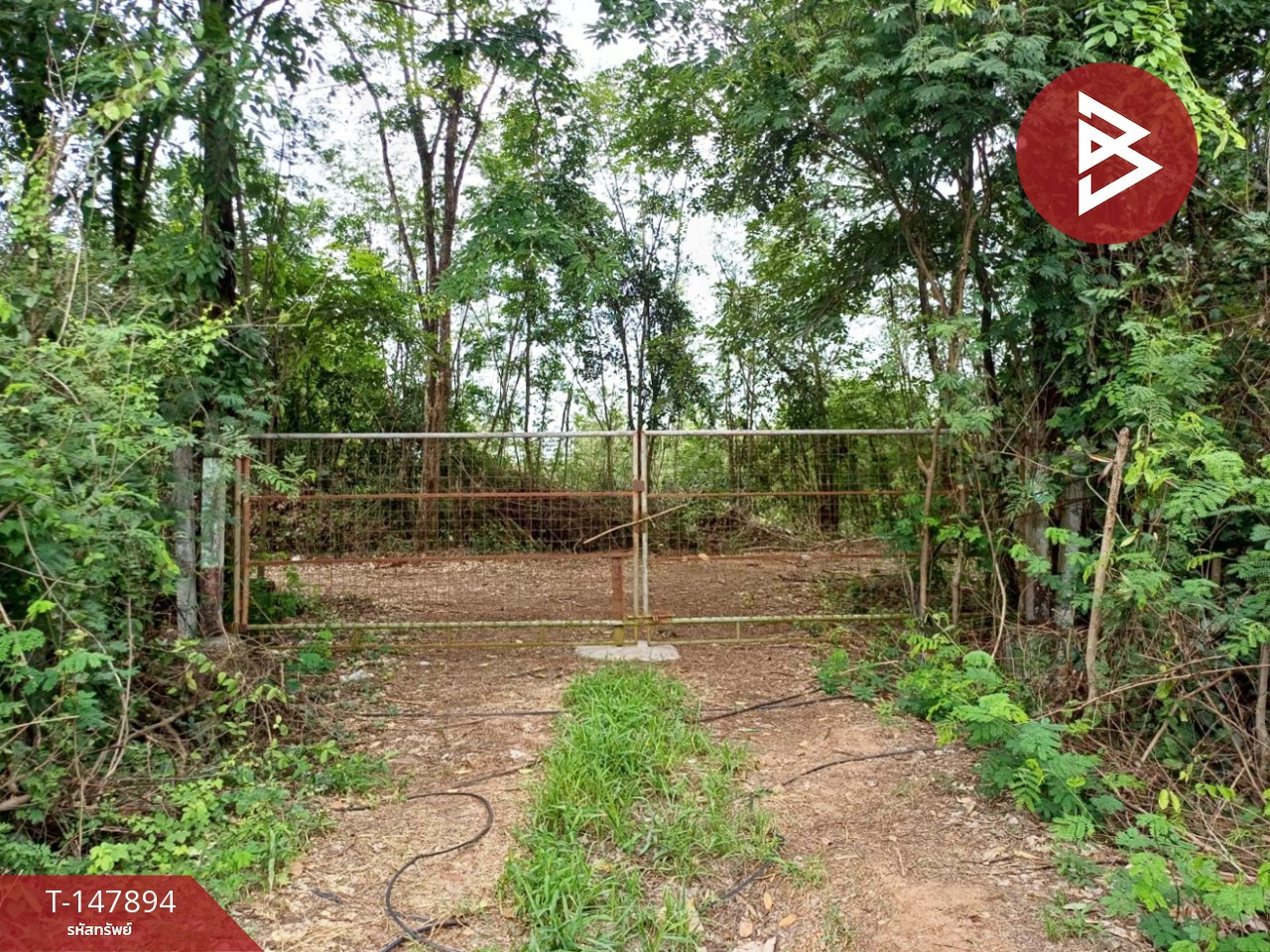 ขายที่ดิน เนื้อที่ 8 ไร่ ตะพานหิน พิจิตร