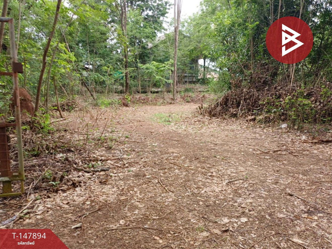 ขายที่ดิน เนื้อที่ 8 ไร่ ตะพานหิน พิจิตร