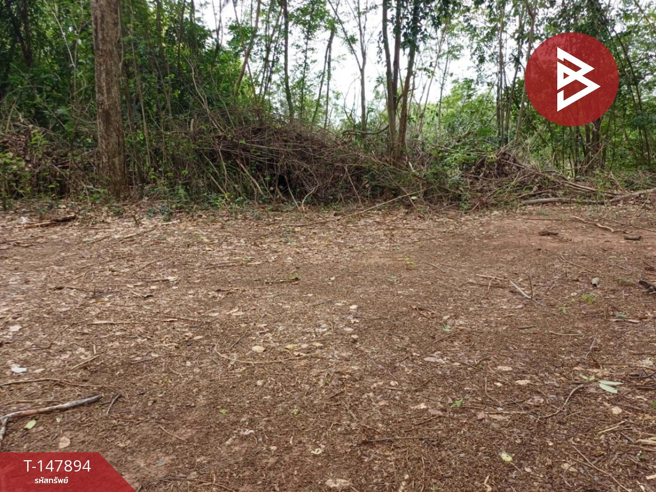 ขายที่ดิน เนื้อที่ 8 ไร่ ตะพานหิน พิจิตร