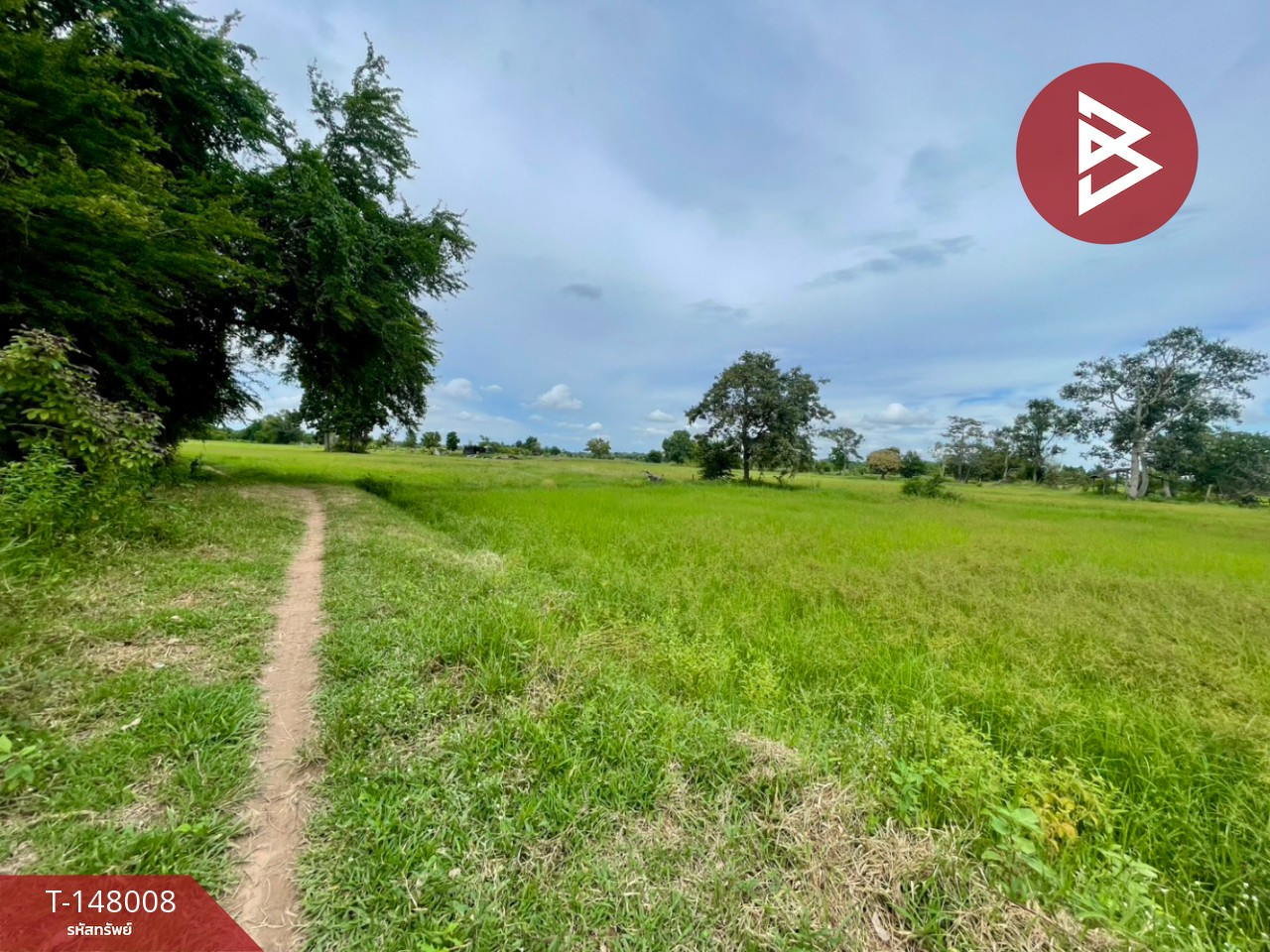 ขายที่ดิน เนื้อที่ 3 ไร่ 14.7 ตร.วา อ.บ้านไผ่ จ.ขอนแก่น บรรยากาศบ้านสวน ติดคลองน้ำสาธารณะ