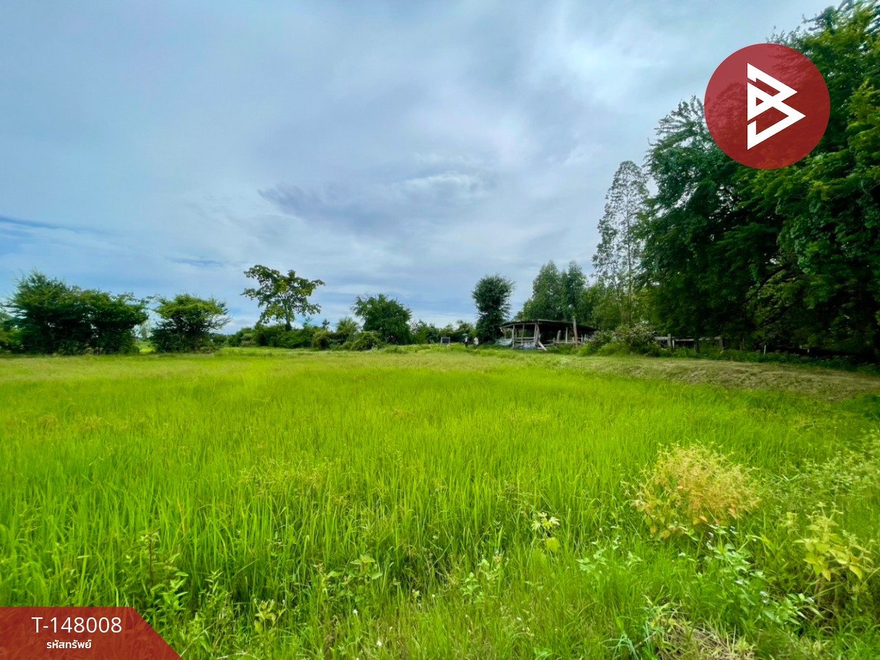 ขายที่ดิน เนื้อที่ 3 ไร่ 14.7 ตร.วา อ.บ้านไผ่ จ.ขอนแก่น บรรยากาศบ้านสวน ติดคลองน้ำสาธารณะ