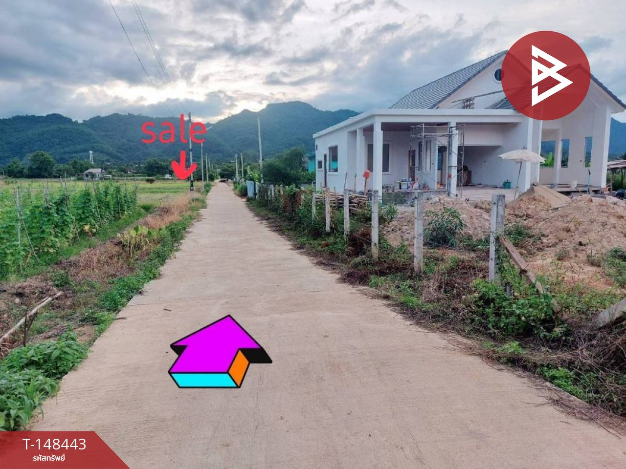 ขายที่ดิน เนื้อที่ 1 ไร่ แม่สาย เชียงราย