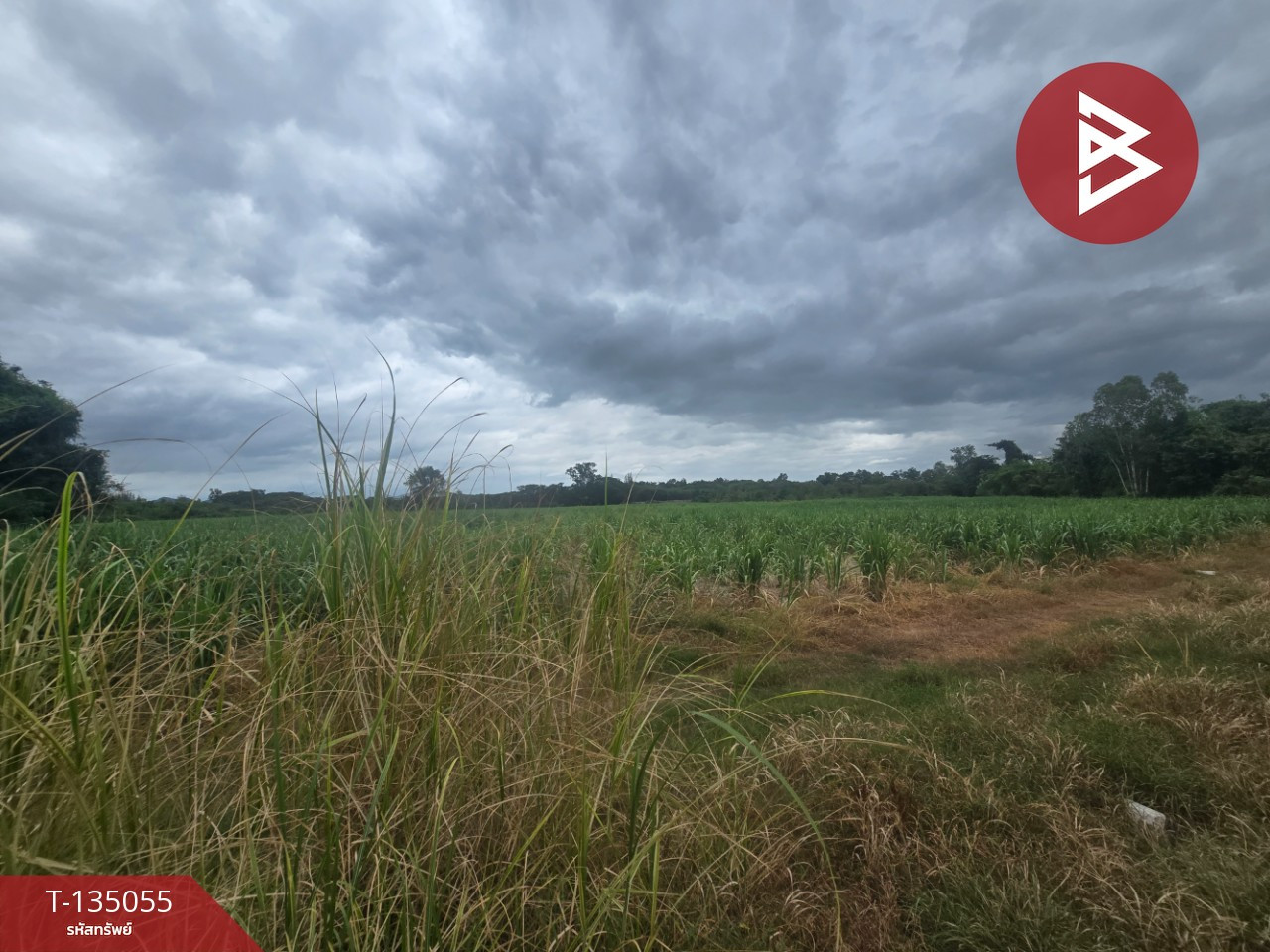 ขายที่ดิน เนื้อที่ 28 ไร่ 2 งาน 69.4 ตร.วา ท่ายาง เพชรบุรี