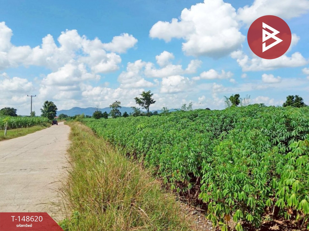 ขายที่ดิน เนื้อที่ 2 ไร่ 1 งาน 71 ตร.วา พยุหะคีรี นครสวรรค์