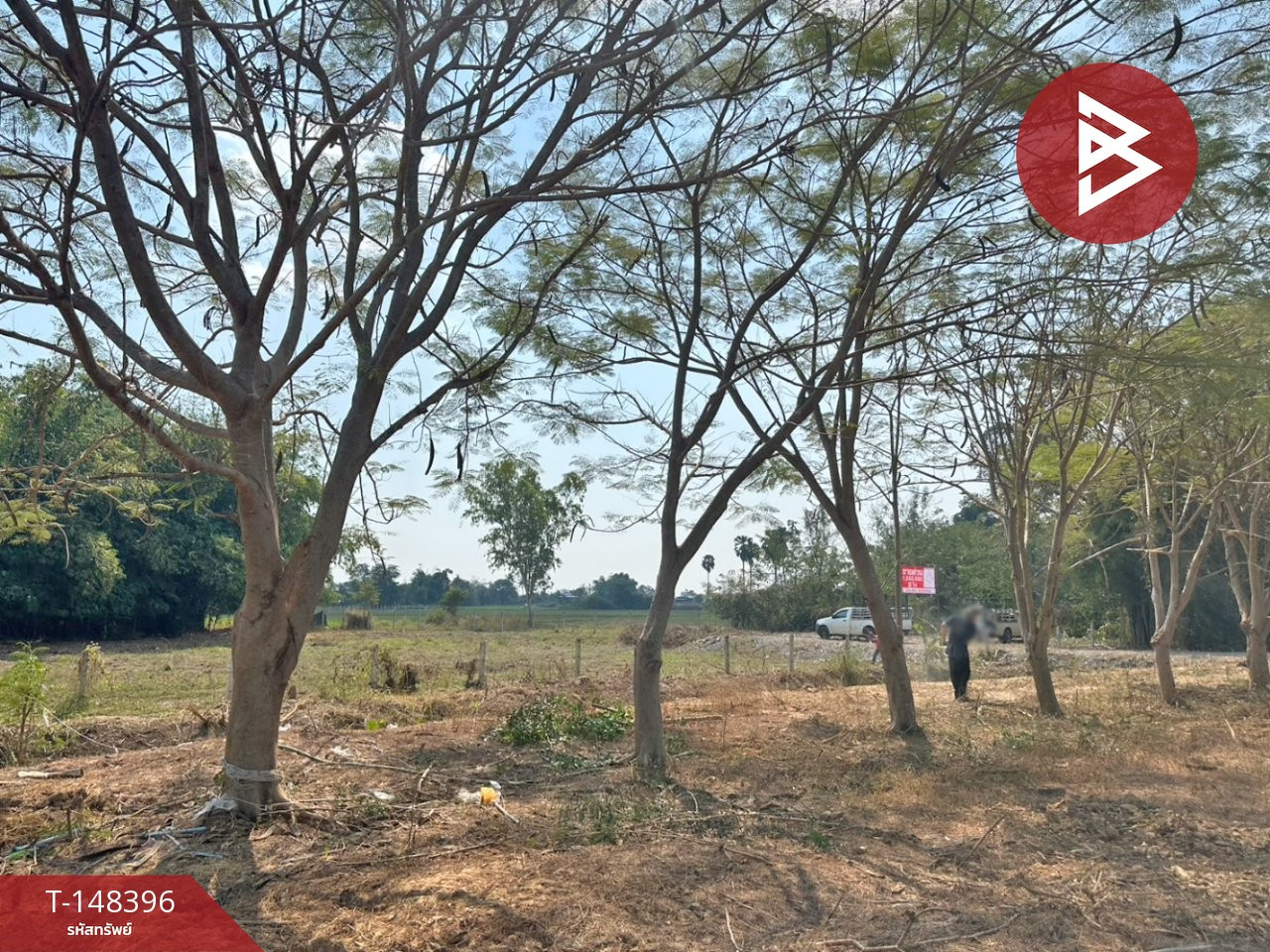ขายที่ดิน 2 ไร่ ต.ดอนทราย อ.ปากท่อ ราชบุรี