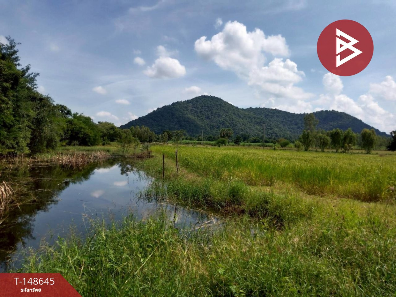 ขายที่ดิน เนื้อที่ 5 ไร่ 75 ตร.วา พยุหะคีรี นครสวรรค์