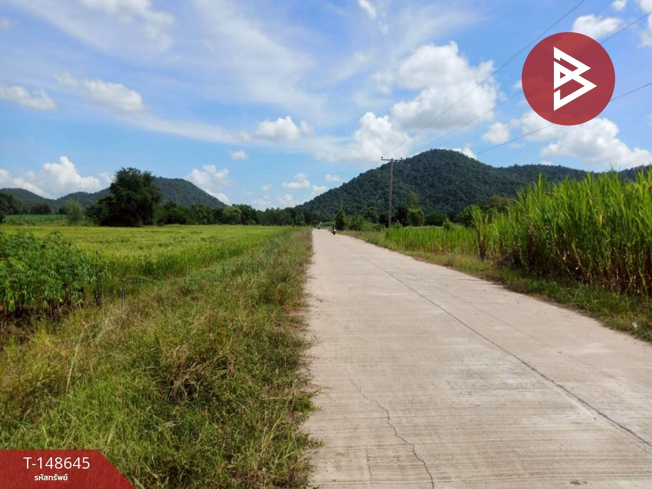 ขายที่ดิน เนื้อที่ 5 ไร่ 75 ตร.วา พยุหะคีรี นครสวรรค์