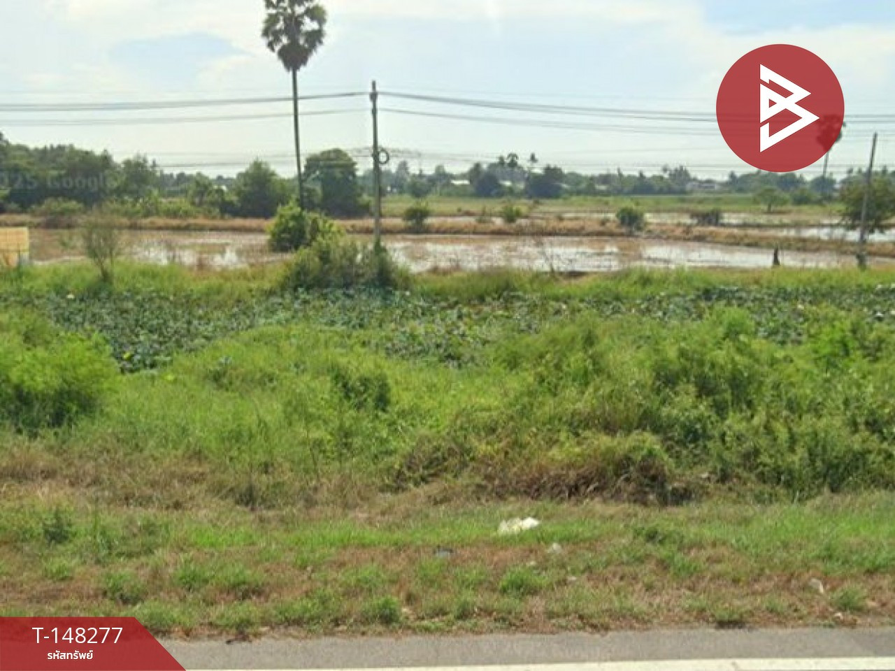 ขายที่ดิน เนื้อที่ 13 ไร่ 3 งาน 71 ตร.วา ไชโย อ่างทอง