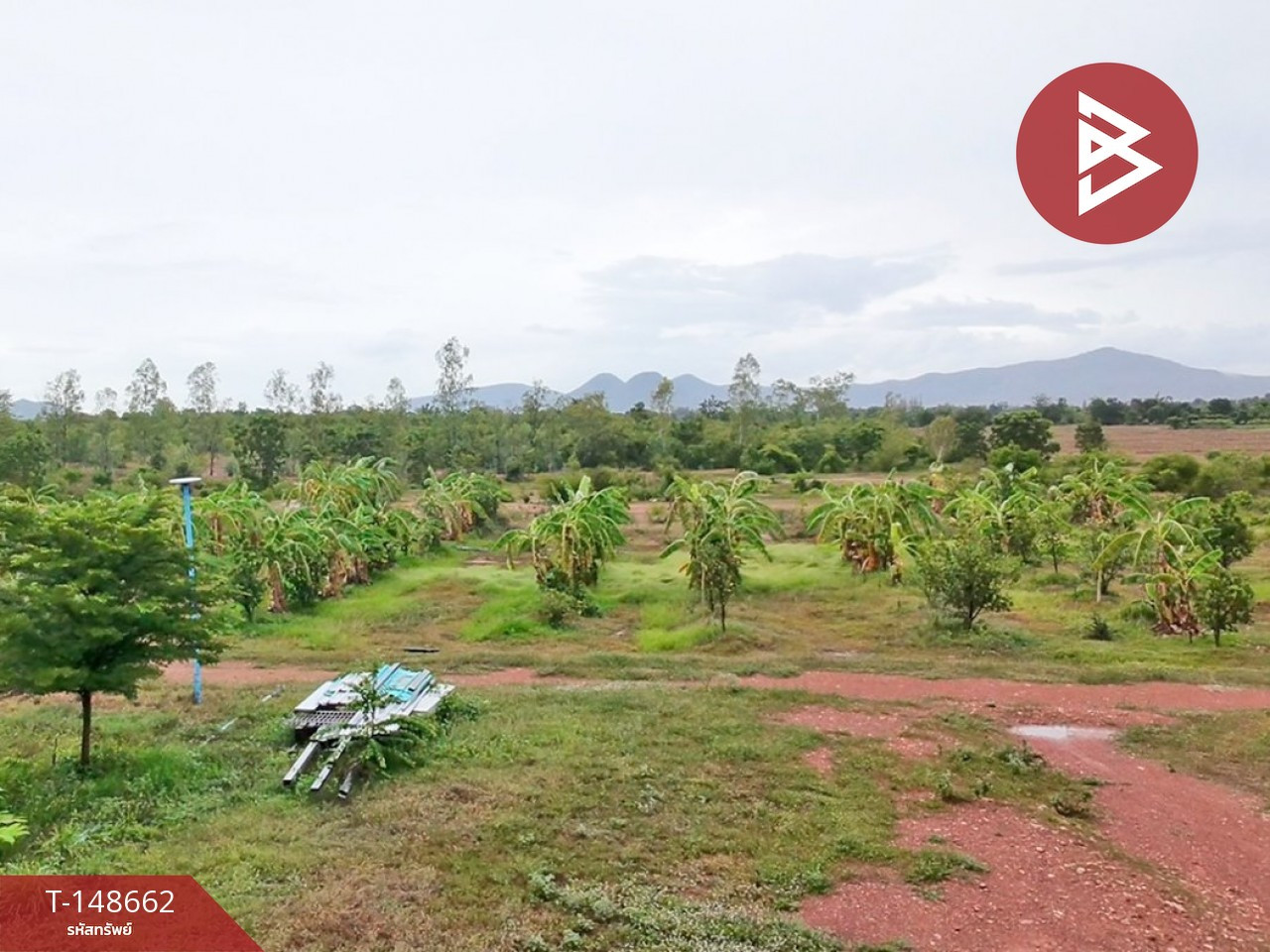 ขายที่ดิน เนื้อที่ 38 ไร่ 99.3 ตร.วา แก่งกระจาน เพชรบุรี