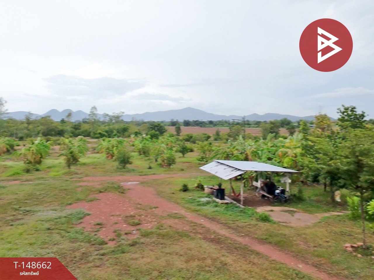 ขายที่ดิน เนื้อที่ 38 ไร่ 99.3 ตร.วา แก่งกระจาน เพชรบุรี