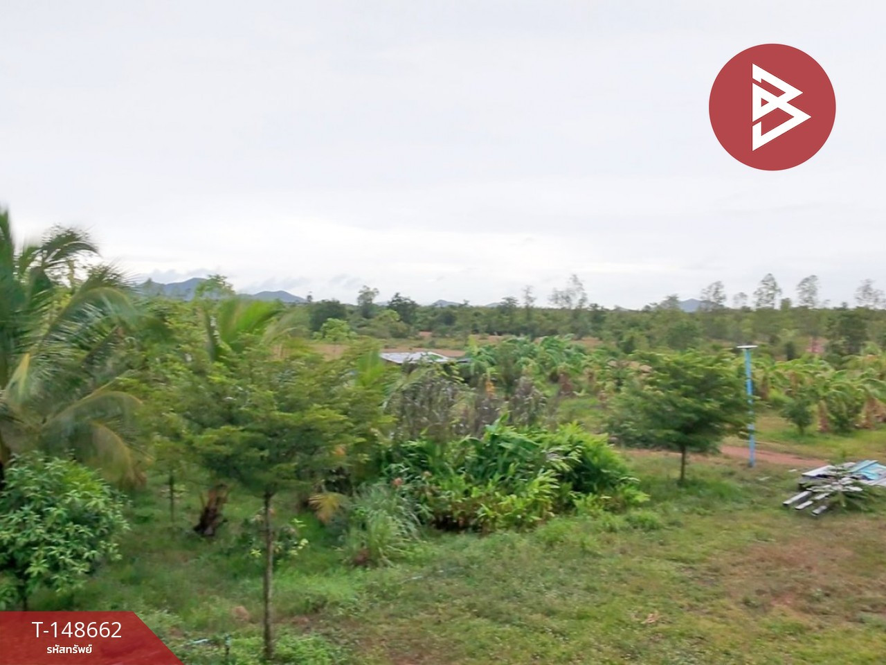 ขายที่ดิน เนื้อที่ 38 ไร่ 99.3 ตร.วา แก่งกระจาน เพชรบุรี