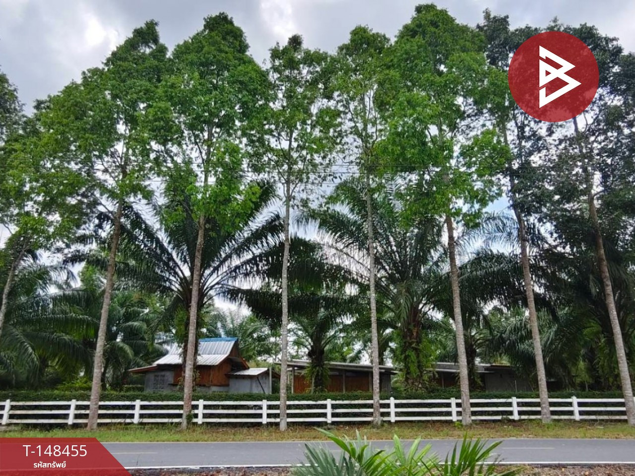 ขายที่ดินพร้อมสิ่งปลูกสร้าง เนื้อที่ 3 ไร่ 1 งาน 16 ตร.วา นาเคียน นครศรีธรรมราช
