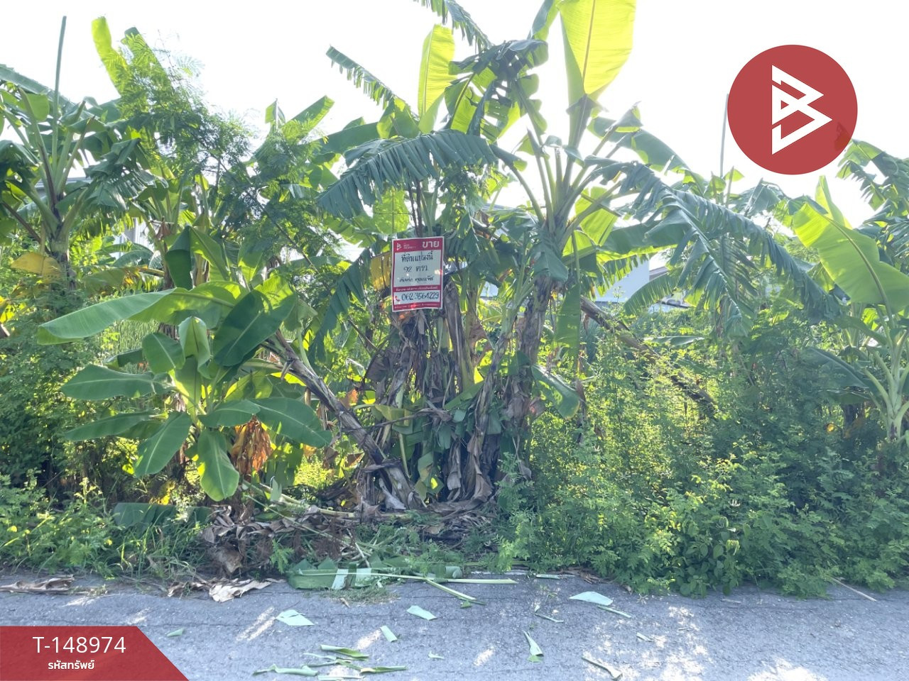 ขายที่ดิน เนื้อที่ 92 ตร.วา ถนนศาลายา 5/8 พุทธมณฑล นครปฐม