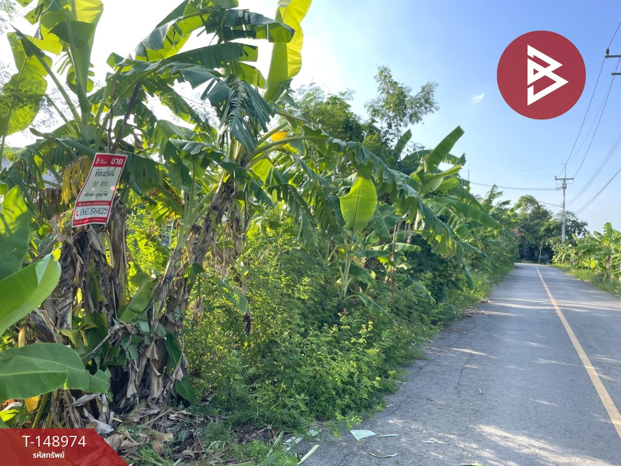 ขายที่ดิน เนื้อที่ 92 ตร.วา ถนนศาลายา 5/8 พุทธมณฑล นครปฐม