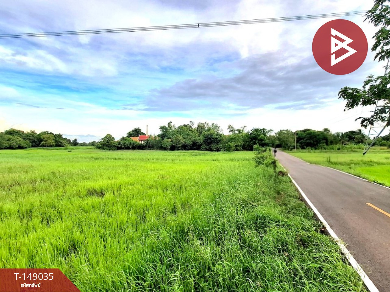 ขายที่ดิน เนื้อที่ 6 ไร่ 88 ตร.วา จังหาร ร้อยเอ็ด