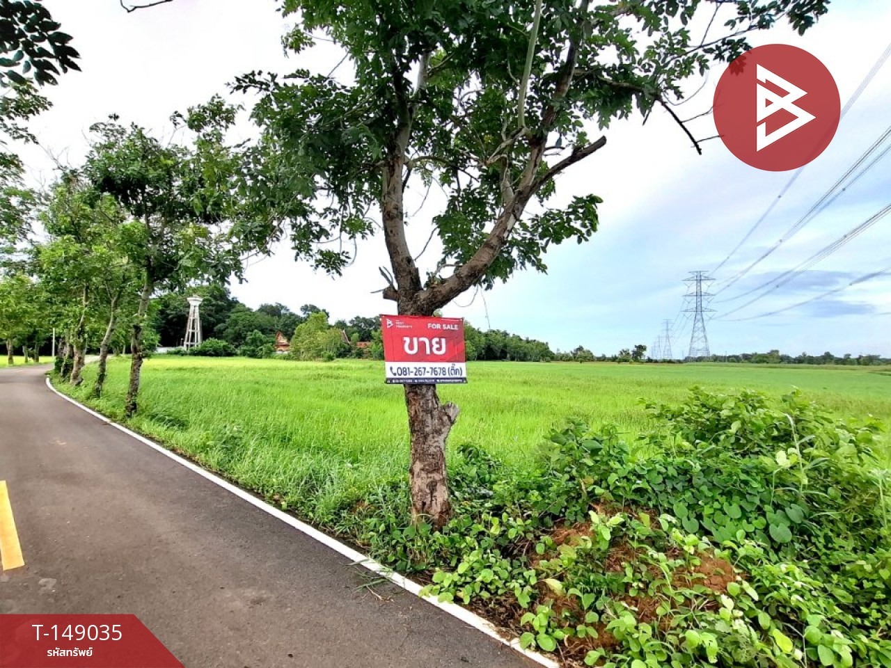 ขายที่ดิน เนื้อที่ 6 ไร่ 88 ตร.วา จังหาร ร้อยเอ็ด