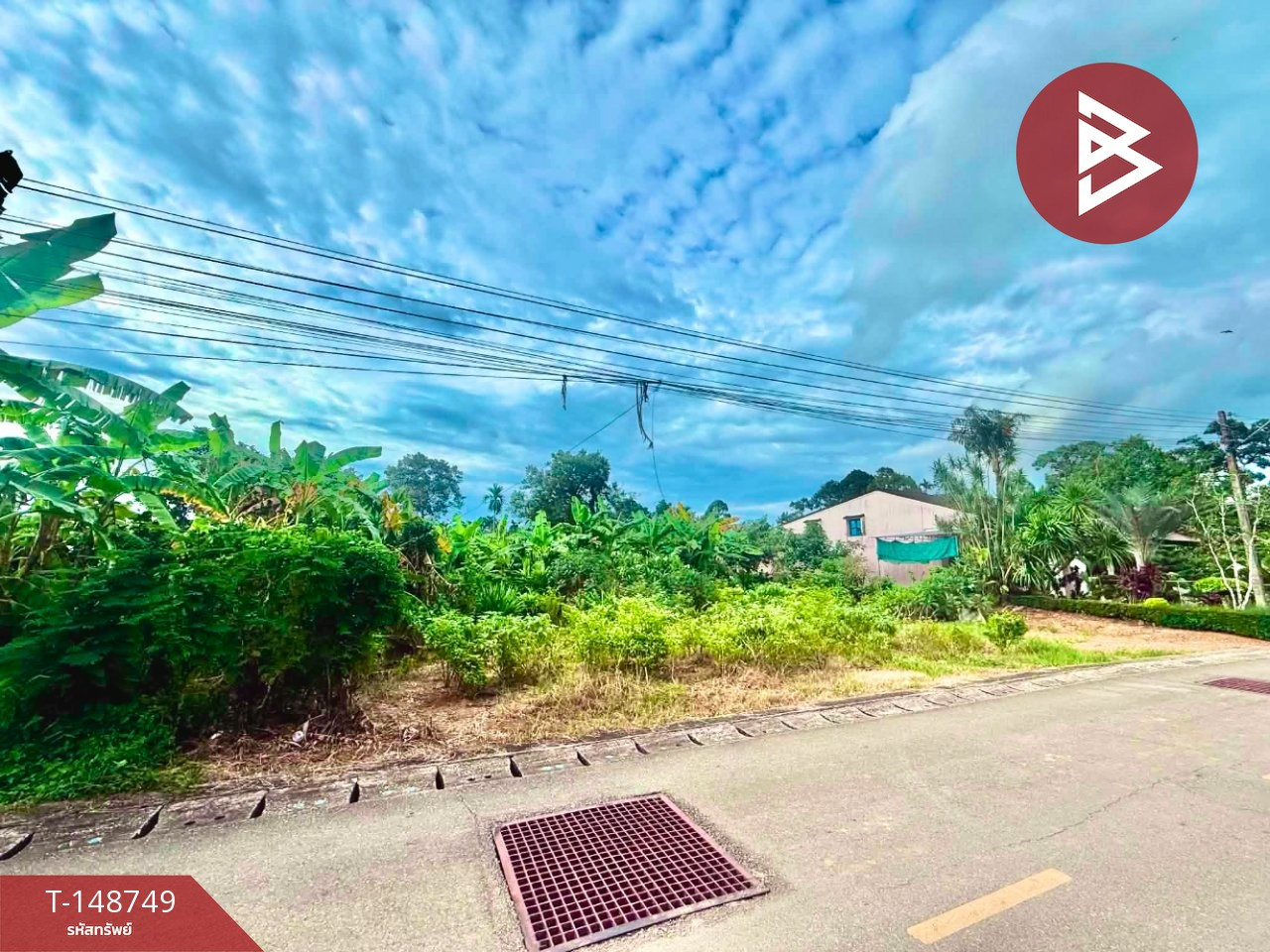ขายที่ดิน เนื้อที่ 1 งาน 55.9 ตร.วา โคกหล่อ ตรัง