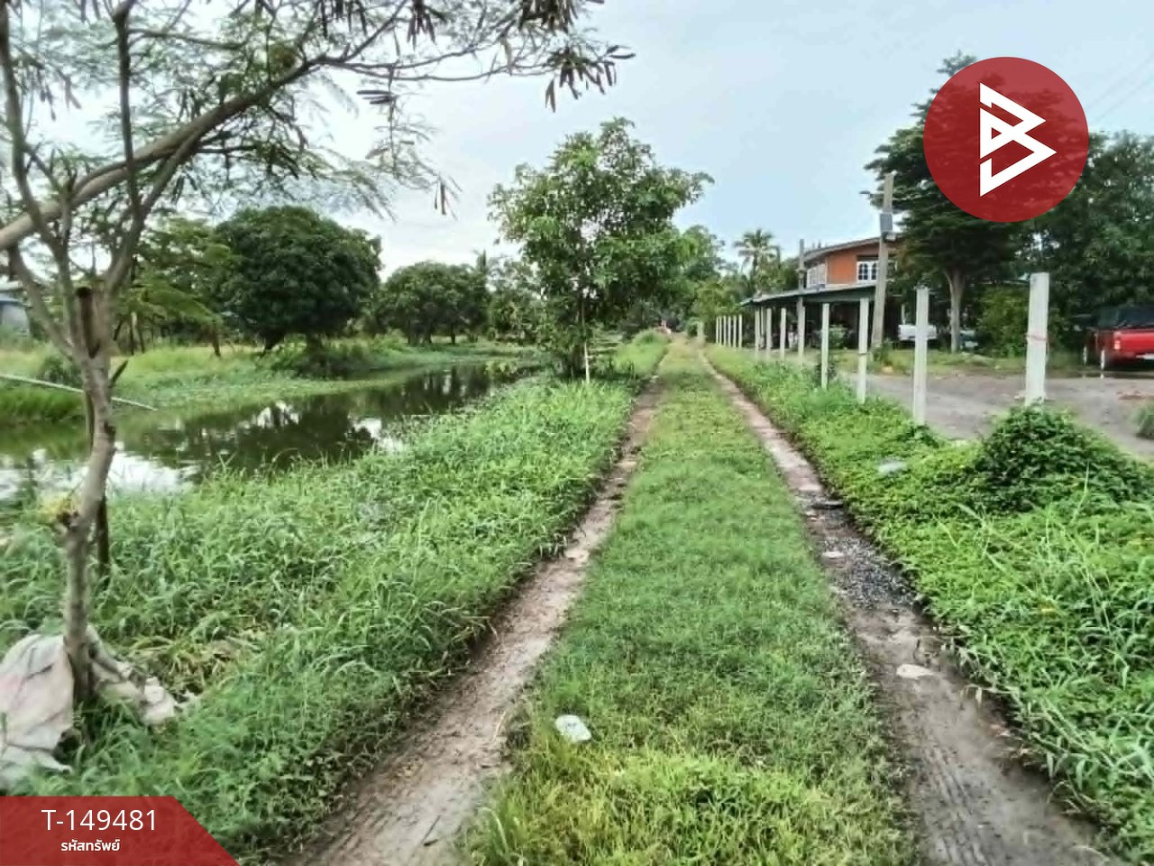 ขายที่ดิน เนื้อที่ 3 ไร่ 3 งาน 94 ตร.วา ลาดกระบัง กรุงเทพมหานคร