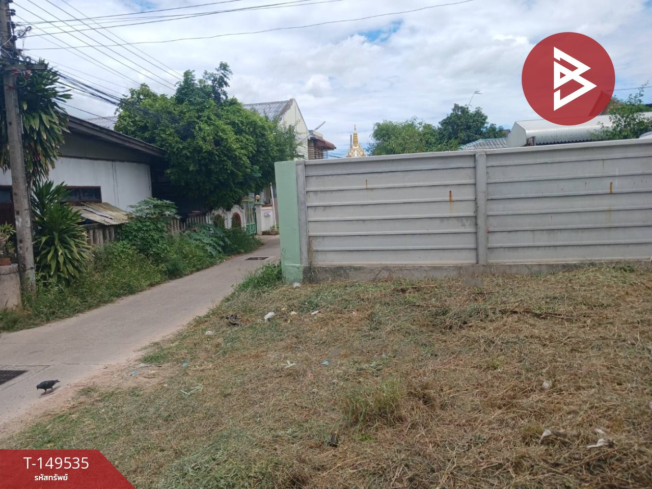 ขายที่ดิน เนื้อที่ 80 ตร.วา ปรุใหญ่ นครราชสีมา