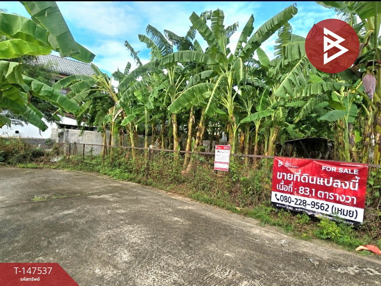 ขายที่ดิน เนื้อที่ 83.1 ตร.วา ปากเกร็ด นนทบุรี