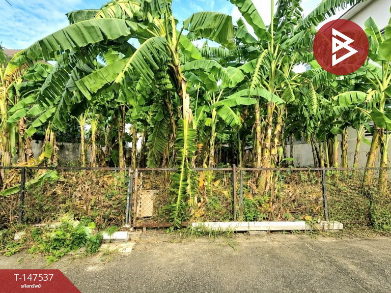ขายที่ดิน เนื้อที่ 83.1 ตร.วา ปากเกร็ด นนทบุรี