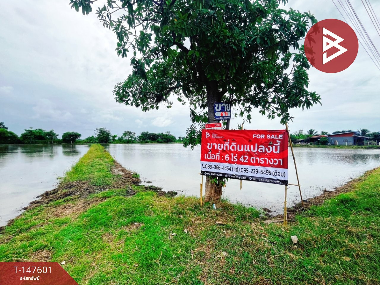 ขายที่ดิน เนื้อที่ 6 ไร่ 42 ตร.วา ท่ามะกา กาญจนบุรี