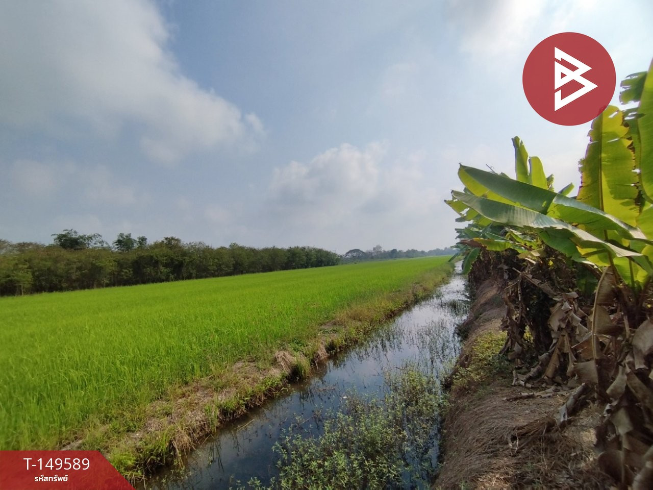ขายที่ดิน เนื้อที่ 1 ไร่ หนองเสือ คลองสิบ ปทุมธานี
