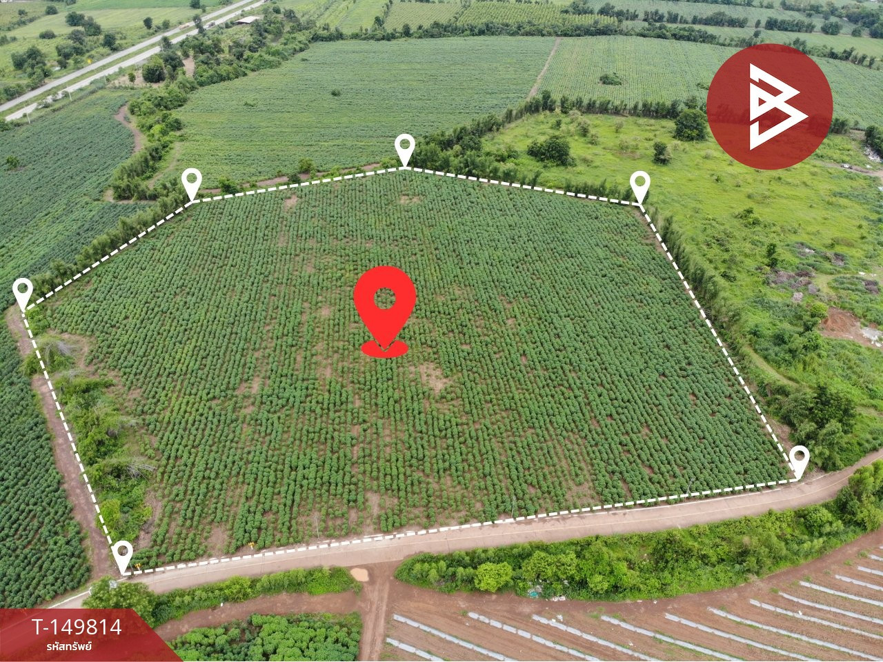 ขายที่ดิน เนื้อที่ 19 ไร่ 3 งาน 57 ตร.วา ศรีมหาโพธิ ปราจีนบุรี