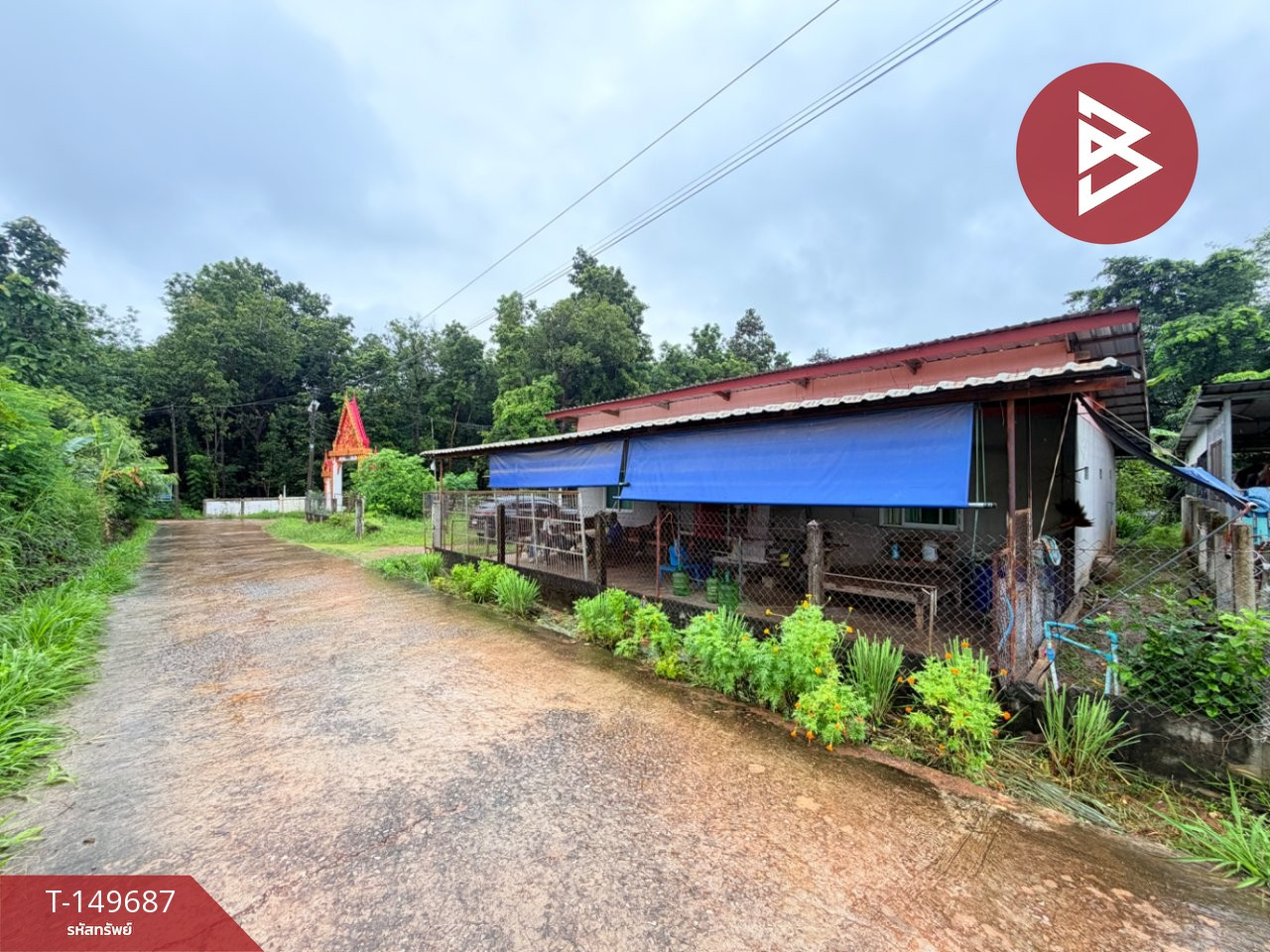 ขายบ้านเดี่ยวพร้อมที่ดิน เนื้อที่ 3 งาน 72 ตร.วา สามชัย กาฬสินธุ์
