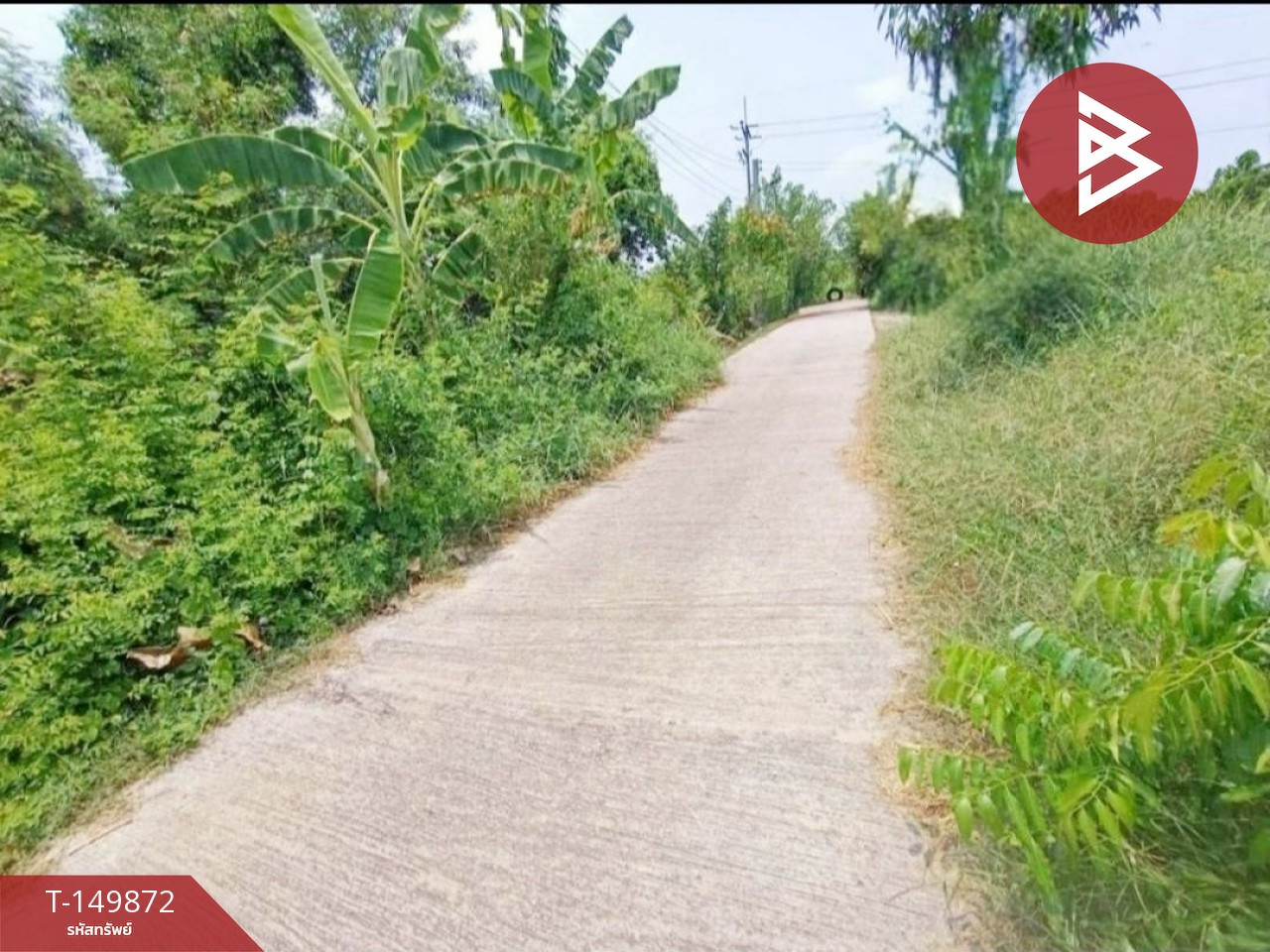 ขายที่ดิน เนื้อที่ 2 ไร่ 4 ตร.วา เมืองฉะเชิงเทรา