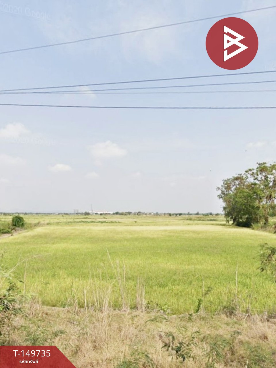 ขายที่ดิน เนื้อที่ 46 ไร่ 1 งาน 81 ตร.วา นครสวรรค์ตก นครสวรรค์
