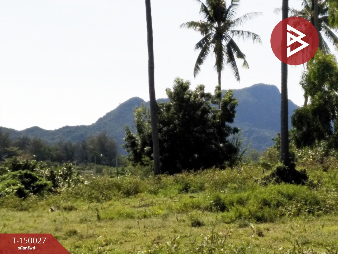 ขายที่ดิน เนื้อที่ 50.5 ตร.วา เกาะหลัก เมืองประจวบคีรีขันธ์
