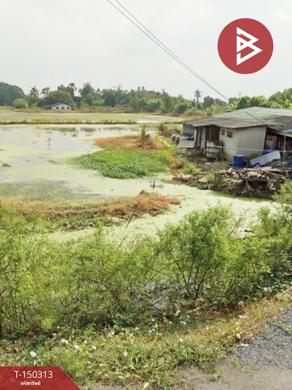 ขายที่ดิน เนื้อที่ 5 ไร่ 3 งาน 11 ตร.วา ลาดกระบัง กรุงเทพมหานคร