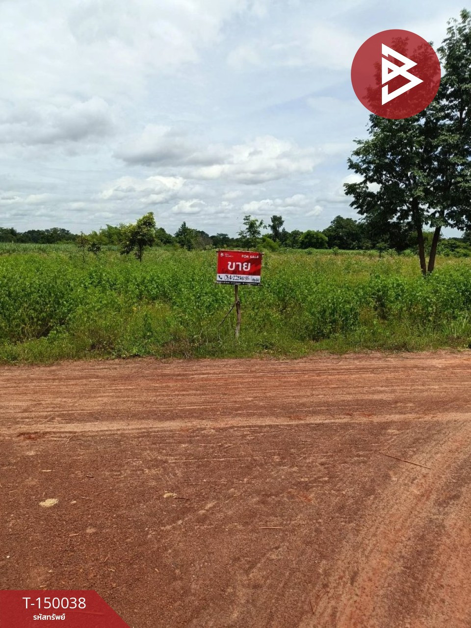 ขายที่ดิน เนื้อที่ 20 ไร่ 1 งาน 12 ตร.วา บ้านผือ อุดรธานี