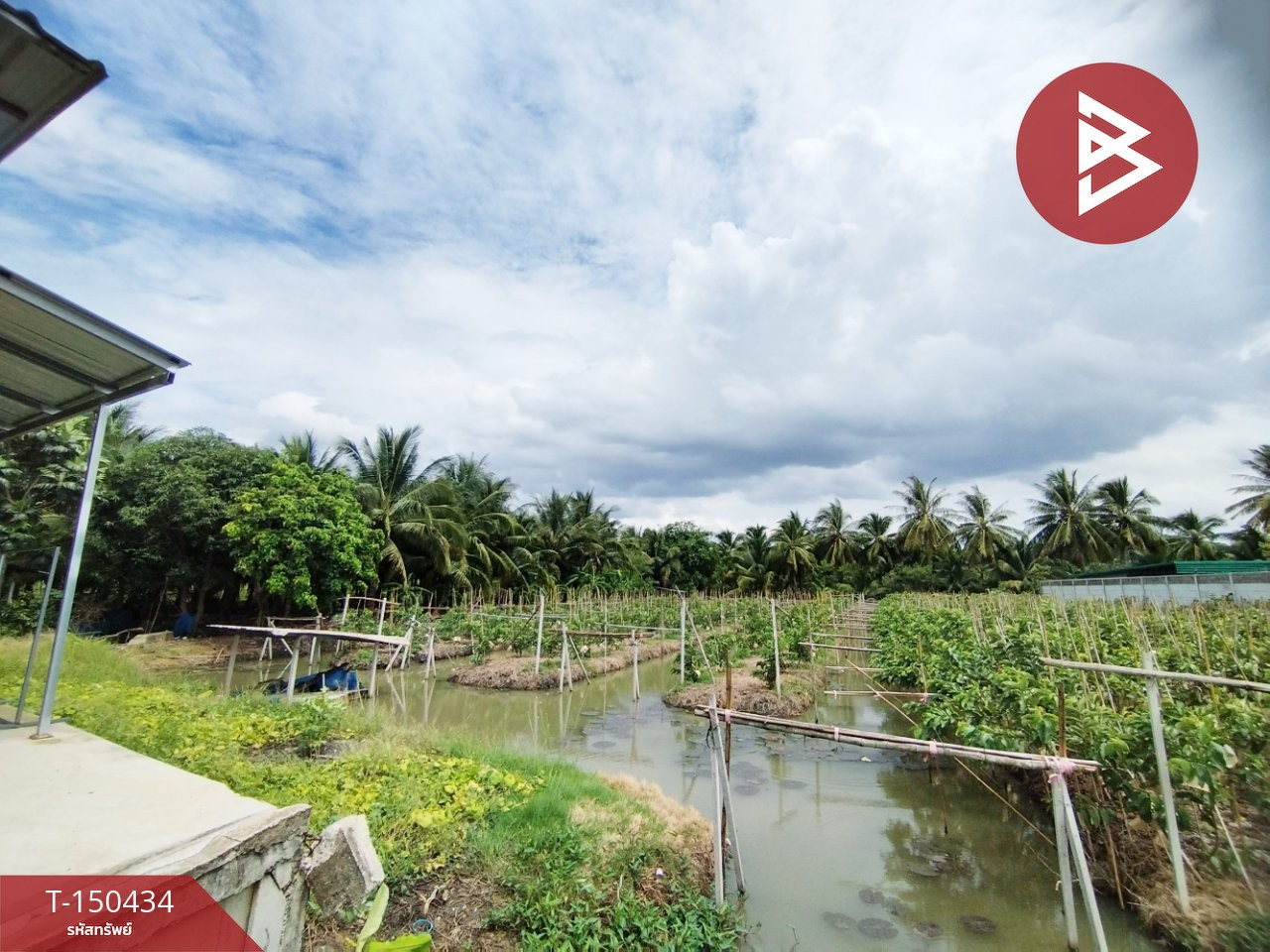 ขายที่ดิน เนื้อที่ 3 งาน 45 ตร.วา บ้านแพ้ว สมุทรสาคร