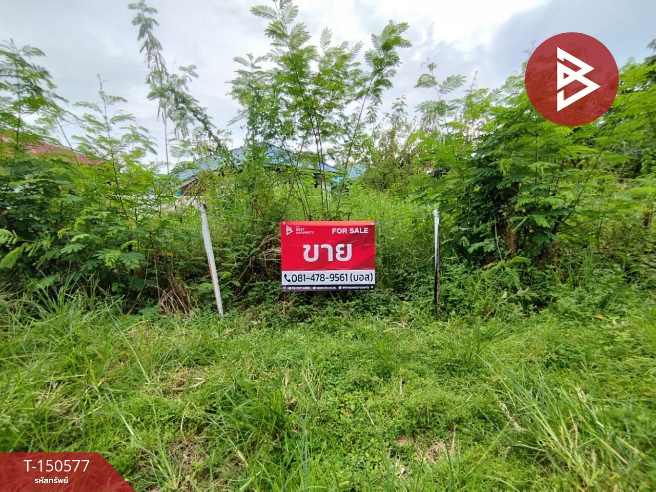 ขายที่ดินเปล่า หมู่บ้านสวนแสนสุข เนื้อที่ 1 งาน 80.3 ตร.วา องครักษ์ นครนายก