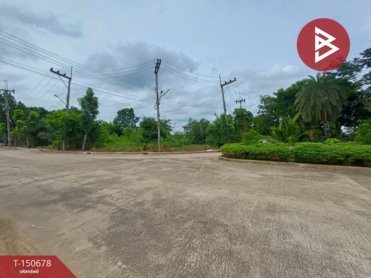 ขายที่ดิน เนื้อที่ 1 งาน นครชัยศรี นครปฐม