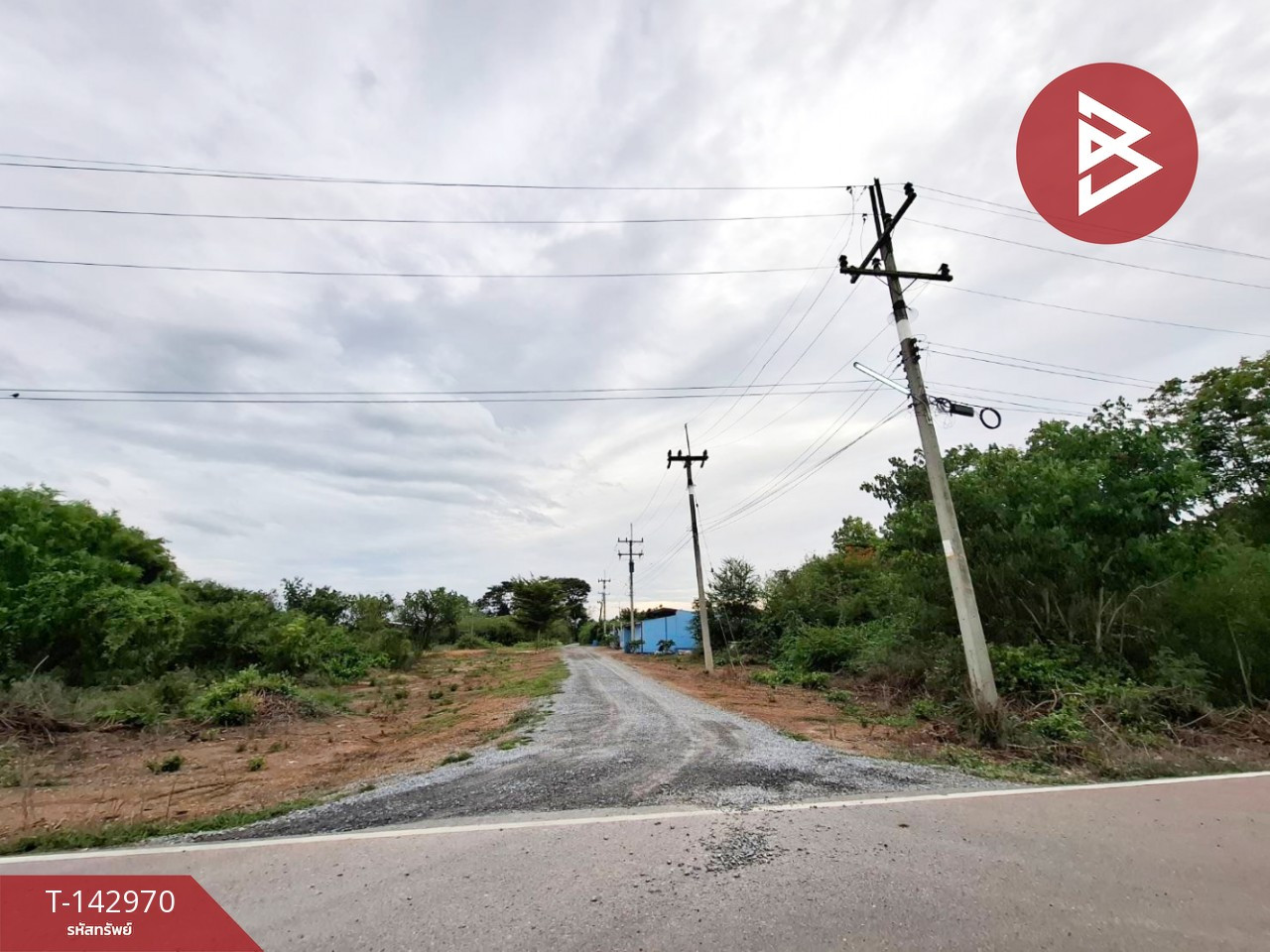 ขายที่ดิน เนื้อที่ 97 ตร.วา กำแพงแสน นครปฐม