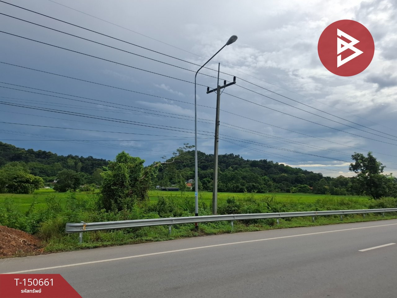 ขายที่ดิน เนื้อที่ 5 ไร่ 3 งาน เทิง เชียงราย