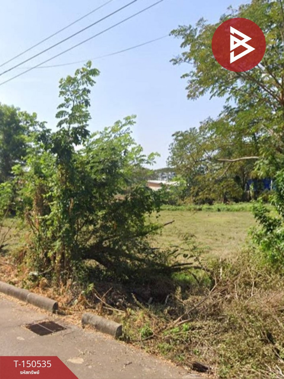 ขายที่ดิน เนื้อที่ 4 ไร่ 1 งาน 50 ตร.วา พังโคน สกลนคร